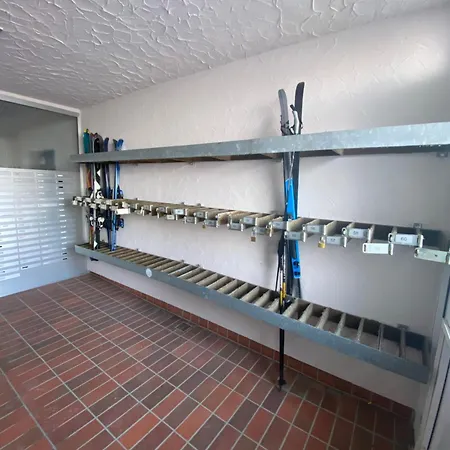 Bergluft Am Bikepark, Skilift, Ssc Apartament *