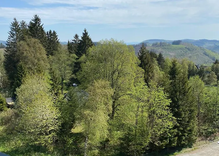 Bergluft Am Bikepark, Skilift, Ssc Apartament *